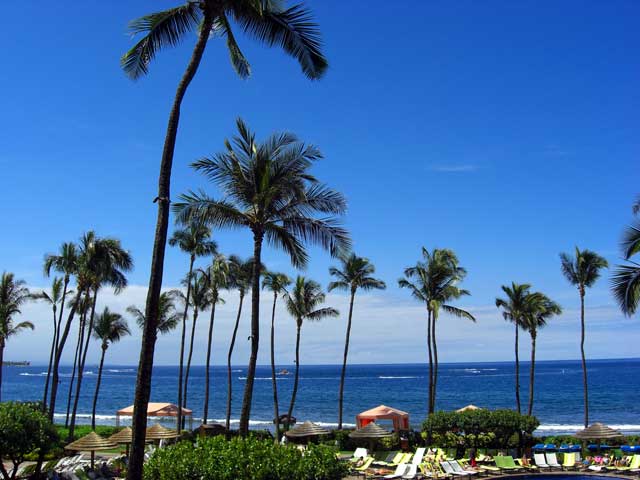 hawaii11.jpg