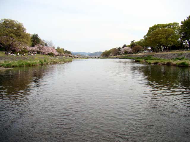 kamogawa61.jpg