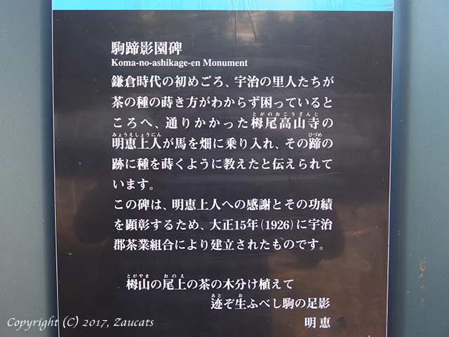 komano_ashikage11.jpg